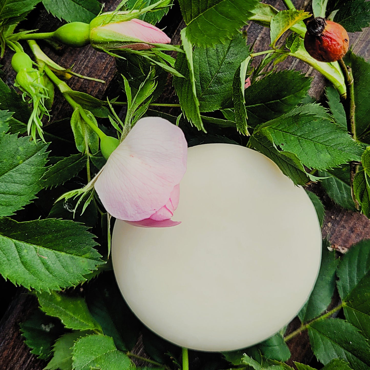 Detergente Viso Struccante con Aloe e Rosa Canina